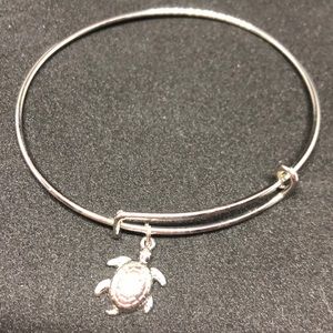 Expandable bracelet with turtle charm